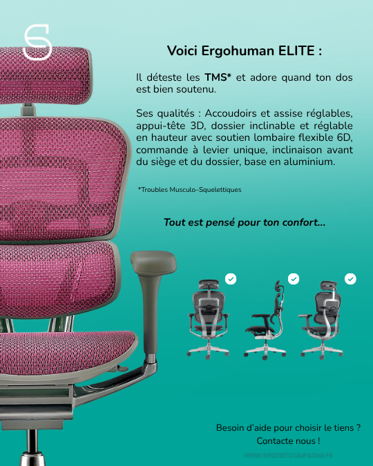 eprésentation des facteurs de risques TMS – illustration des contraintes physiques et posturales au travail